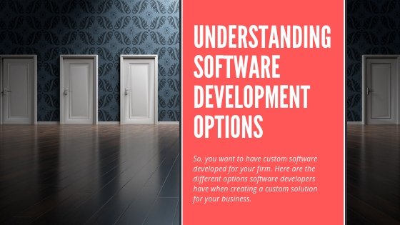 Understanding software development options