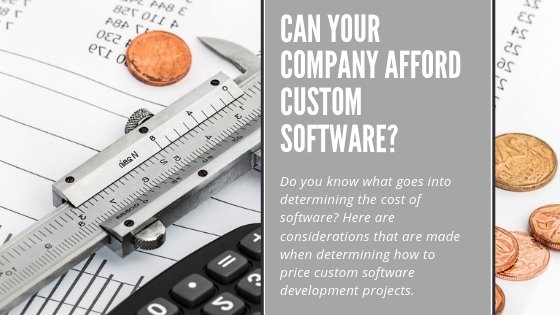 Custom software cost